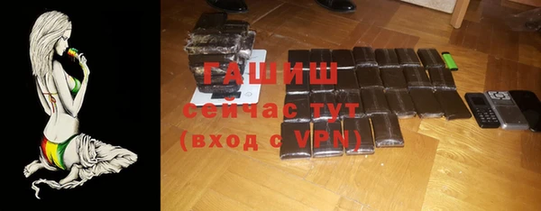 apvp Инсар
