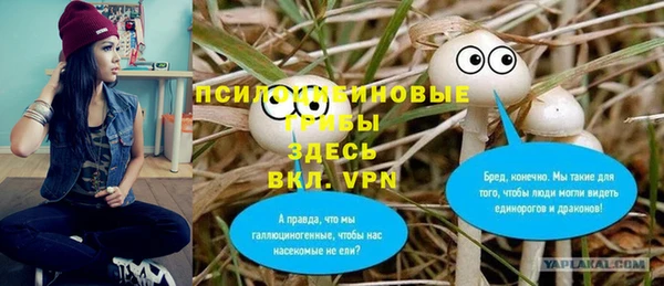 хмурый Алексеевка