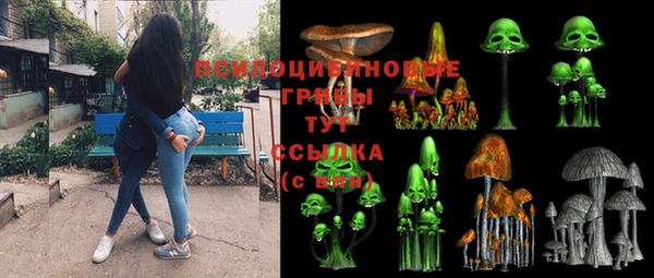 скорость Алексин