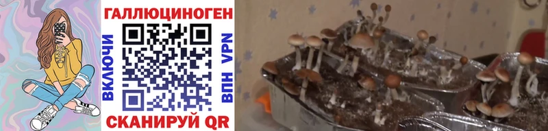 Галлюциногенные грибы MAGIC MUSHROOMS Джанкой